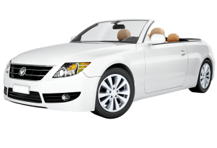 car4.png